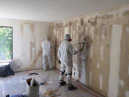 Best Post-Construction Mold Inspection  in Stony Prairie, OH